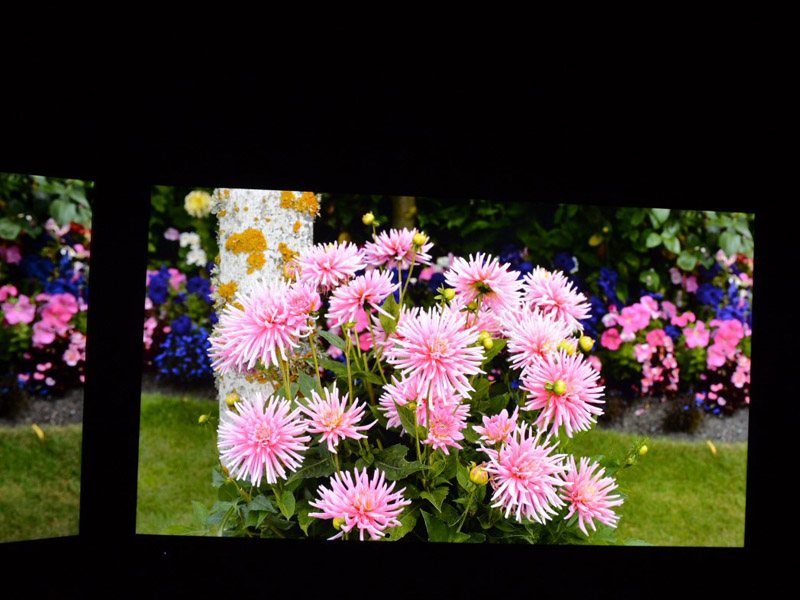 ICC PURIOS보기.  음영의 하이라이트 효과가 두드러진다.