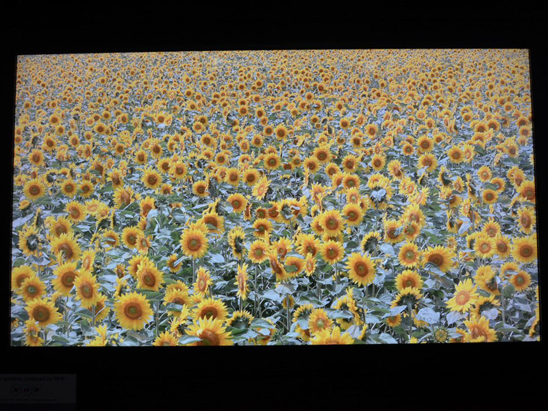 샤프 부스에서는 NHK와 공동 개발중인 8K4K 텔레비전 시제품 전시도 행해지고 있었다