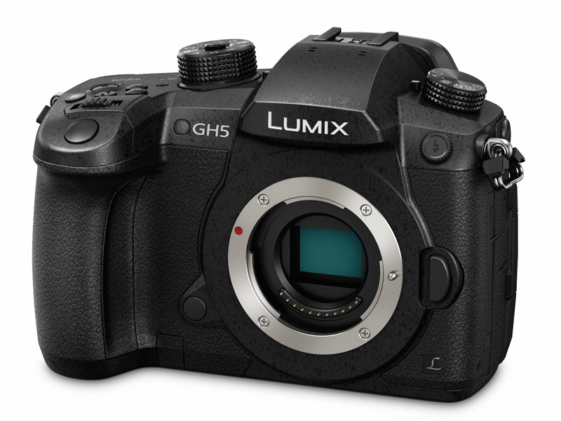 Panasonic - パナソニック　LUMIX カメラ　4k カメラ動画撮影 パナソニック LUMIX S5 で気軽にムービー撮影を楽しもう｜【第4