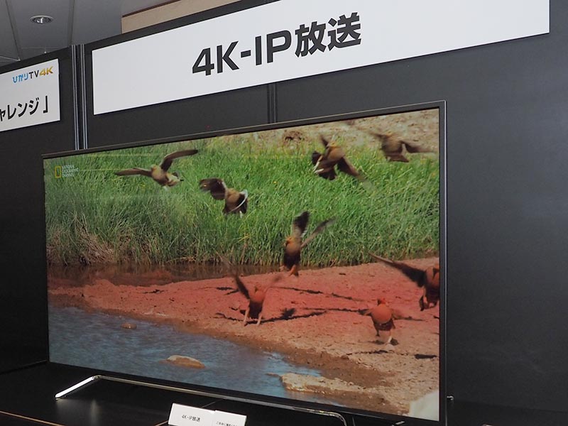 ひかりTVが4K-IP放送を11月30日開始、4K STBレンタルは月額900円