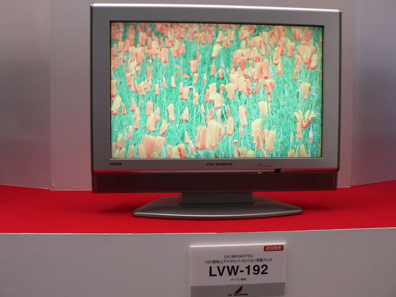 DXアンテナ、地デジチューナ内蔵の19型液晶テレビ