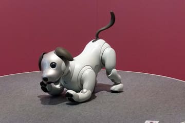 ソニーのロボット犬 Aibo 復活 心のつながりをもつエンタメロボ 19 8万円 Av Watch