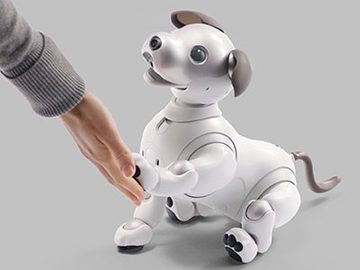 ソニーの Aibo 4月11日に111体限定で初の店頭販売 ソニーストア5店で Av Watch