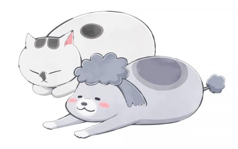 犬と猫どっちも飼ってると毎日たのしい Tvアニメ化 花澤香菜 杉田