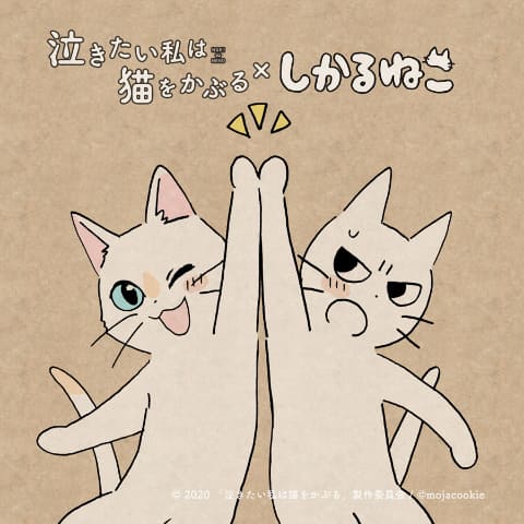 Netflixアニメ 泣き猫 の応援隊長に しかるねこ コラボイラスト公開 Av Watch