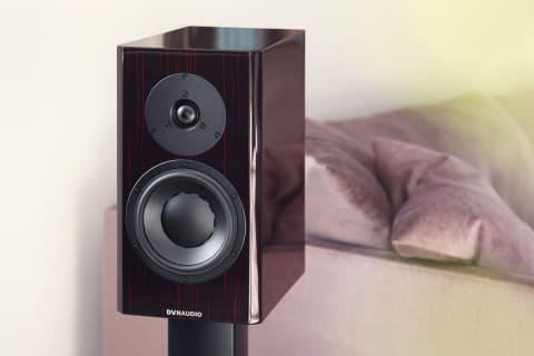dynaudio special forty