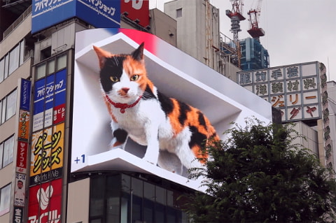 新宿駅前に 3d巨大猫 大型街頭ビジョン プレ放映開始 Av Watch