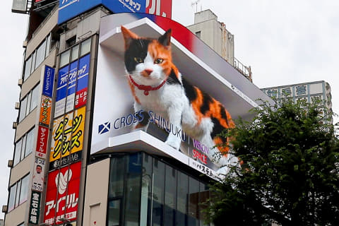 新宿 3d巨大猫 の街頭ビジョン本放映 無重力編 や長尺版も Av Watch