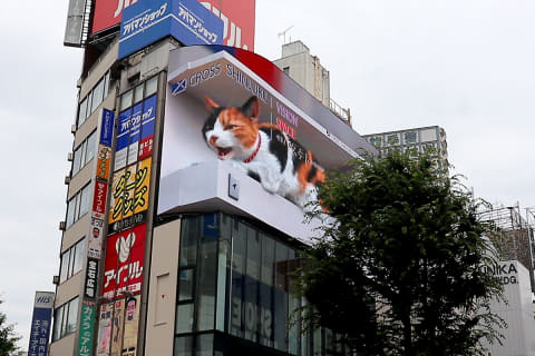 新宿 3d巨大猫 の街頭ビジョン本放映 無重力編 や長尺版も Av Watch