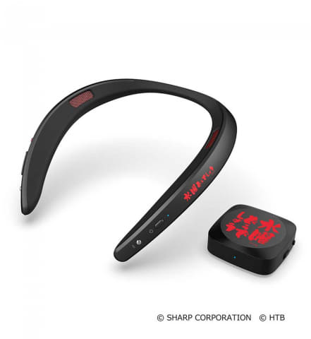 【水曜どうでしょう】SHARP AN-SS2 スピーカー シャープ、「水曜どうでしょう」ディレクターが喋るネック