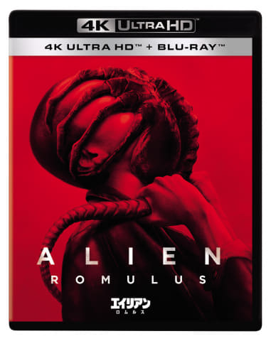 Amazon.co.jp: エイリアン：ロムルスの映画ポスター Alien Romulus 印刷 ポスター キャンバス ウォールアート 画像 絵画  現代 芸術 壁の絵 け ソファの背景絵画16x24inch(40x60cm) : ホーム＆キッチン