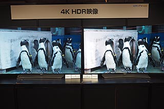 国内初のhdr対応4k Vod配信をひかりtvが30日開始 スマホでも4k Hdr配信 Av Watch