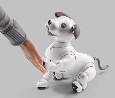 復活したソニーのロボット犬「aibo」と触れ合えるスペース、渋谷に1月