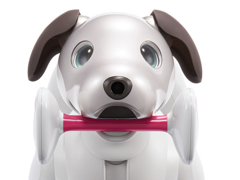 ソニーの Aibo 4月11日に111体限定で初の店頭販売 ソニーストア5店で Av Watch