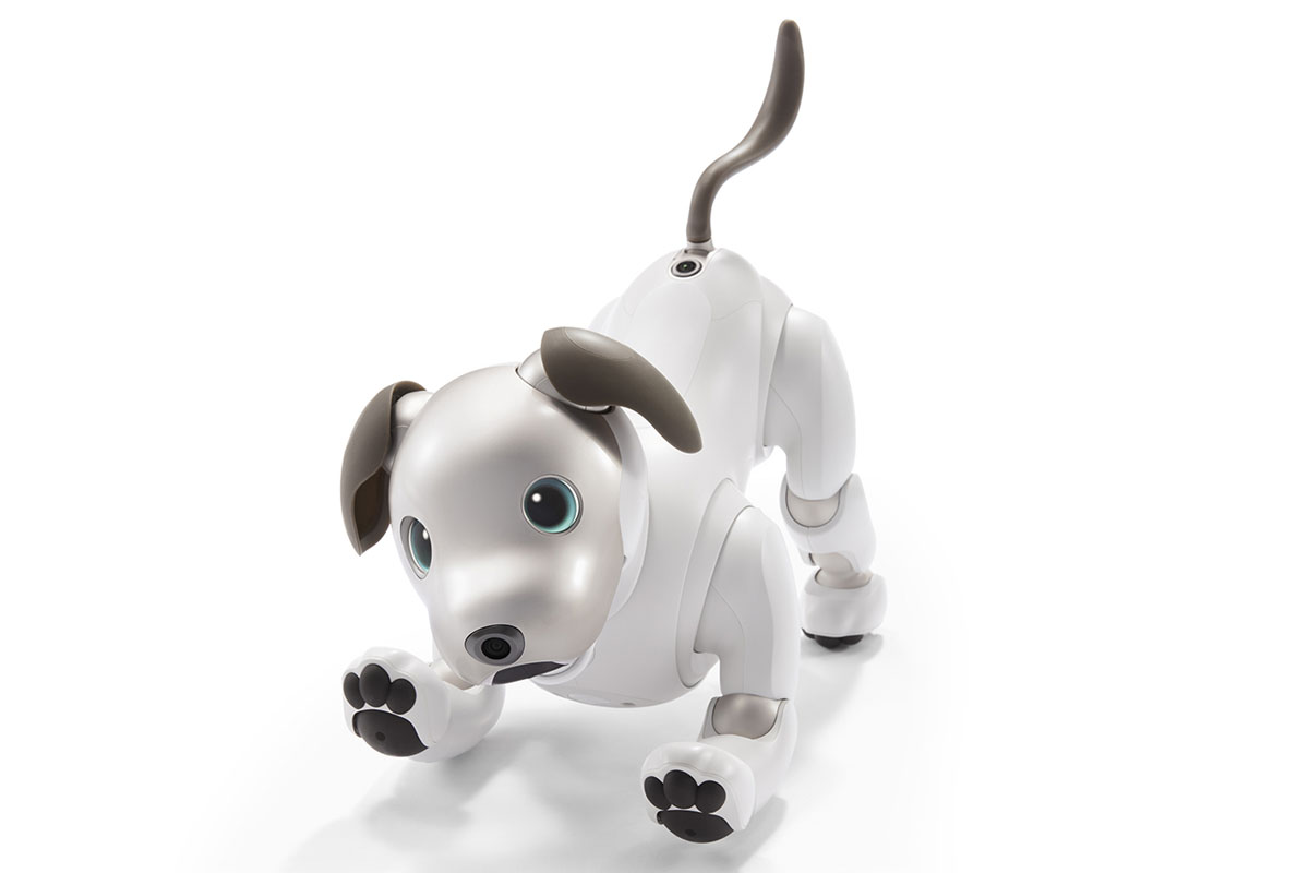 aibo 本体　★動作確認済み ソニーのaibo、法人向け購入プランスタート。企業の受付や病院