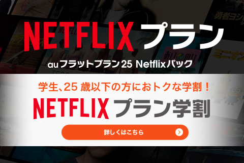 auフラットプラン25 netflixパックn 違い 販売