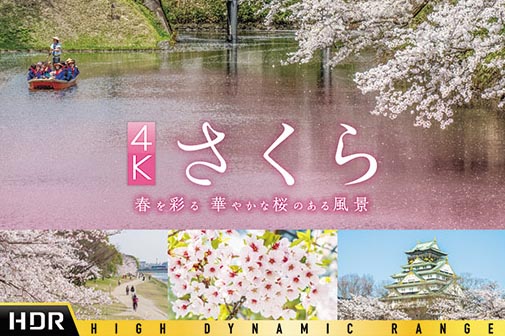 4K/HDRで桜の絶景。ビコムUHD BD発売、日本最古ソメイヨシノも - AV Watch