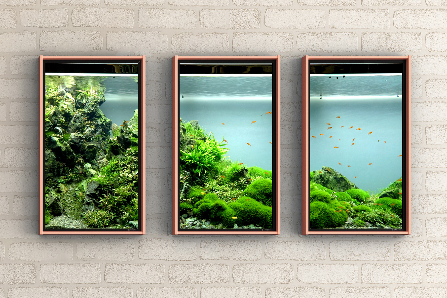 色鮮やかな魚と珊瑚の癒し映像 デジタル窓 Atmoph Window にアクアリウム風景 Av Watch