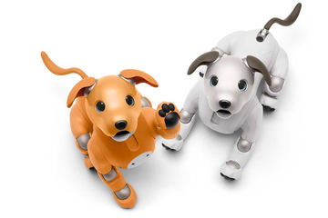 ソニーのロボット犬「aibo」復活! 心のつながりをもつエンタメロボ