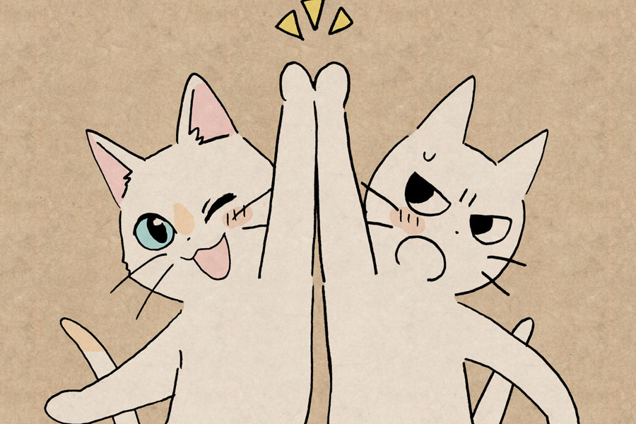 Netflixアニメ 泣き猫 の応援隊長に しかるねこ コラボイラスト公開 Av Watch