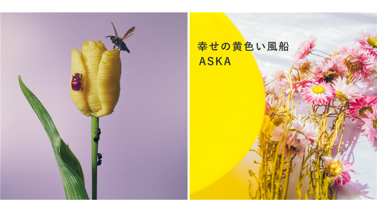 E Onkyo Music週間ハイレゾベスト10 あいみょん 3rdアルバム首位 F F ベストアルバム Aska 9月4日 9月10日 Av Watch