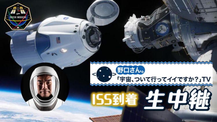 ✧ CHANEL ✧ フーディー✤宇宙飛行士 楽天市場】CHANEL シャネル 【国内正規】P57464K07601 94305
