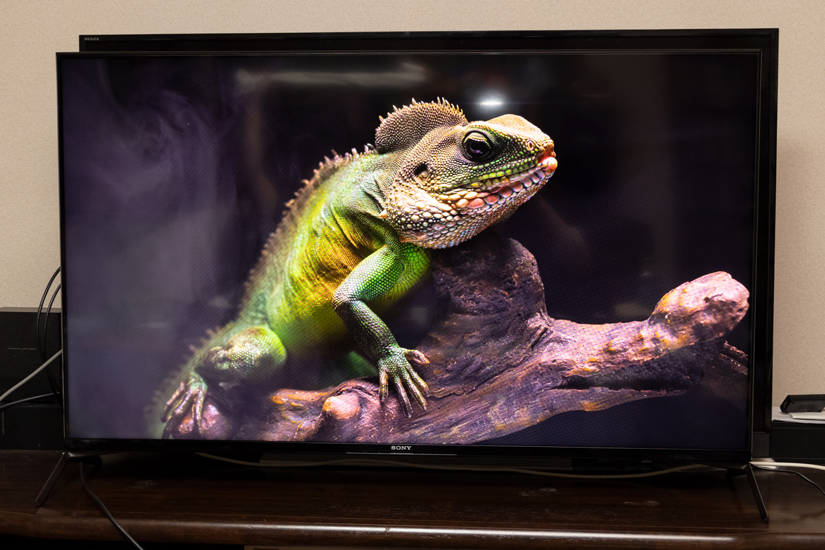 公式販売店 【アプリ録画デザインモデル】SONY 22型 液晶テレビ BRAVIA