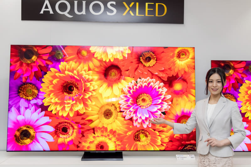 セール開催中！表示価格からさらに15～50％OFF！（サルベージ品を除く）AQUOS　2021年　24インチ 最新世代「QD-OLED」とMini LED 2つのフラッグシップが揃う2024年