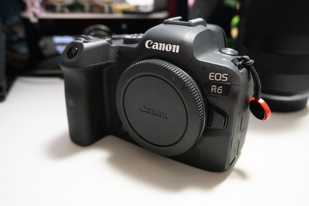 プレイバック2022】カメラ故障で「EOS R6」購入。さらに深まるVの沼 by