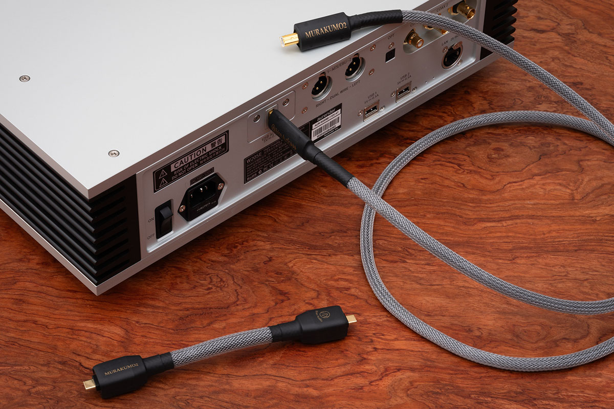 ケーブル・シールド Brise audio ACCURATE USB C to C 17cm オーディオ向けUSBケーブル ACCURATE-USB (USB 2.0対応) – Brise