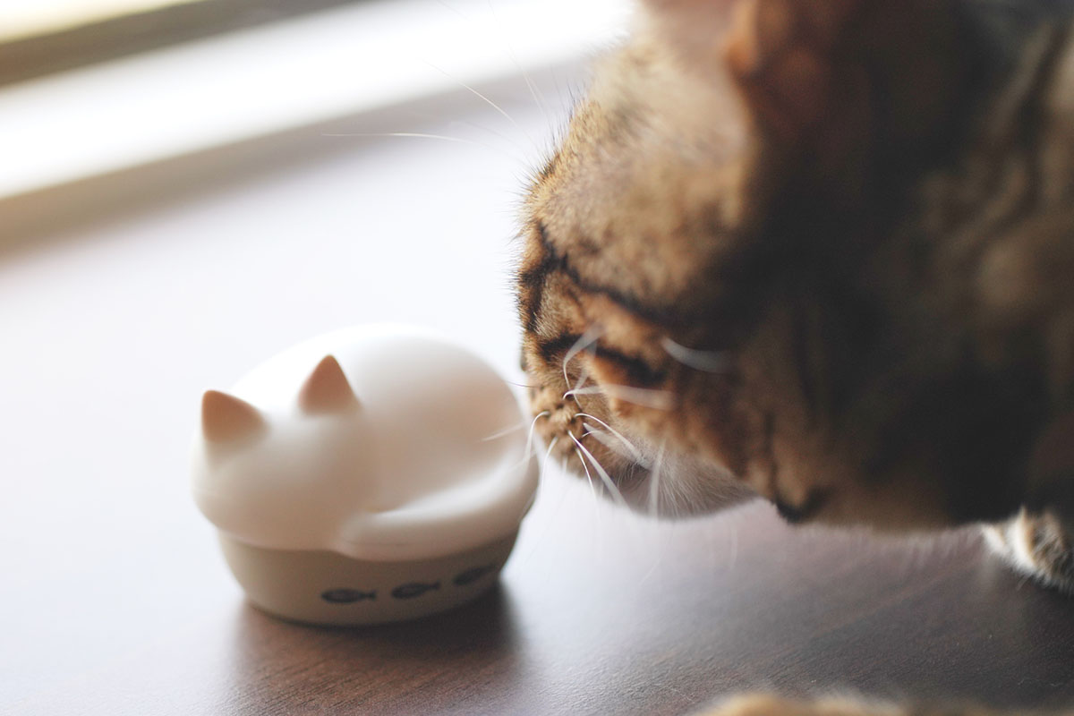 ねこ、かわいい」がイヤフォンに。電源ON「みゃー」、5回タップ