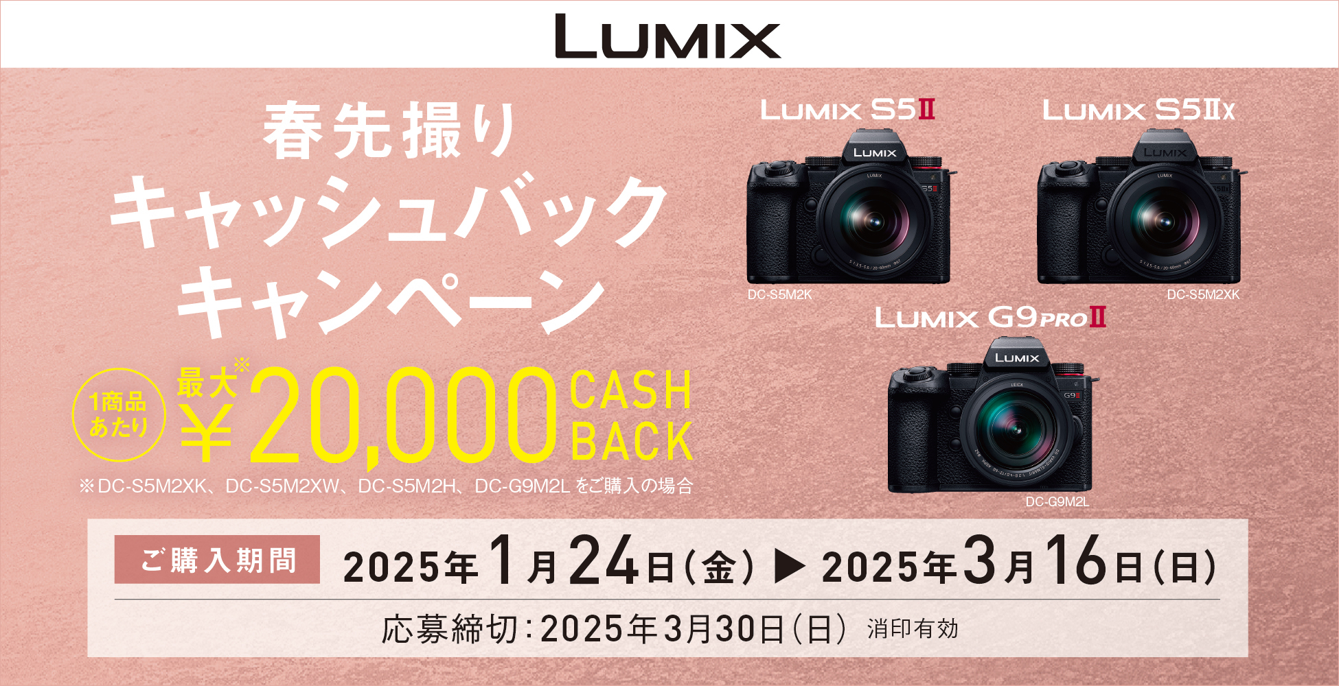 パナ、最大2万円の「LUMIX 春先撮りキャッシュバックキャンペーン