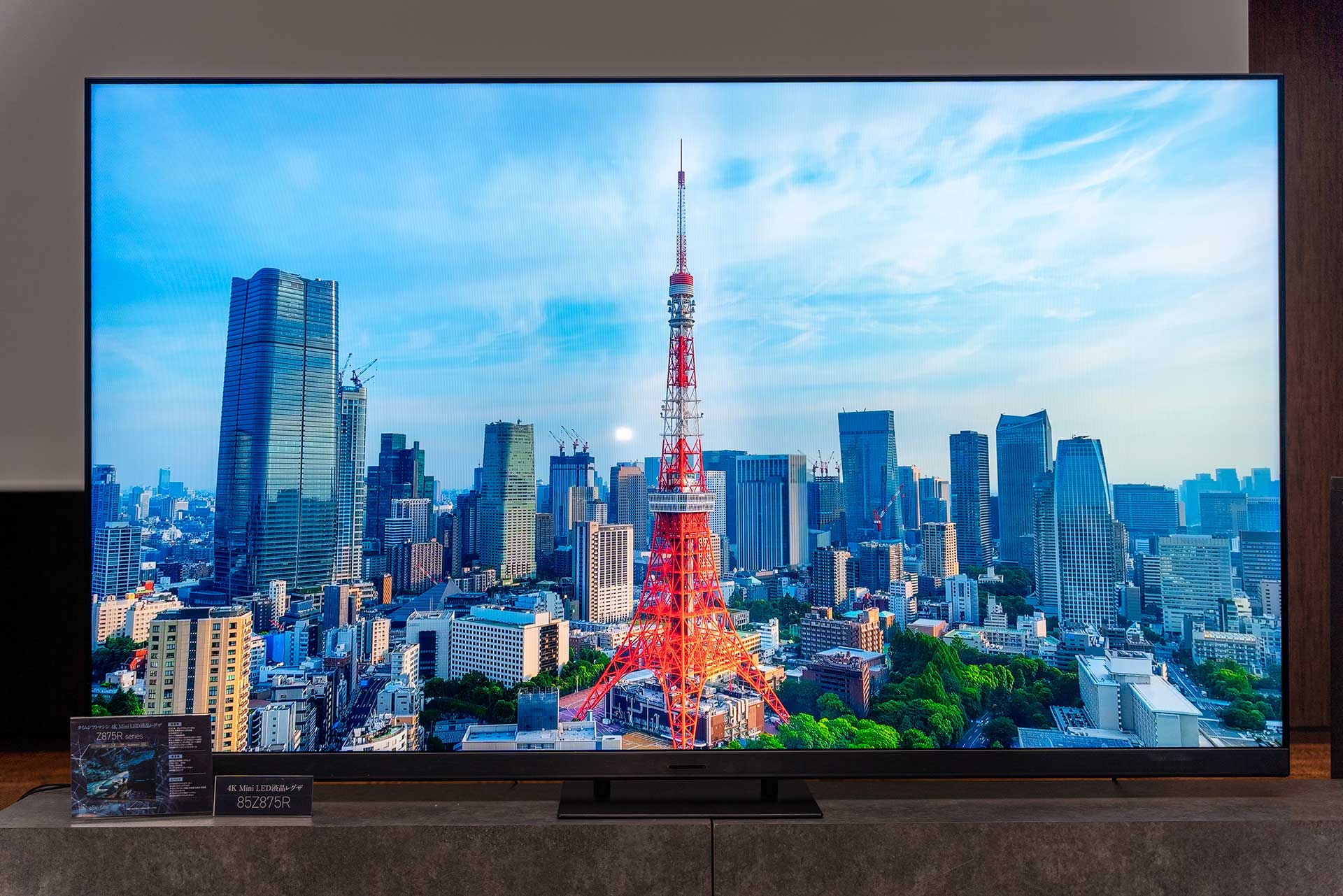 REGZA（レグザ） 55V型 4Kチューナー内蔵有機ELテレビ タイム