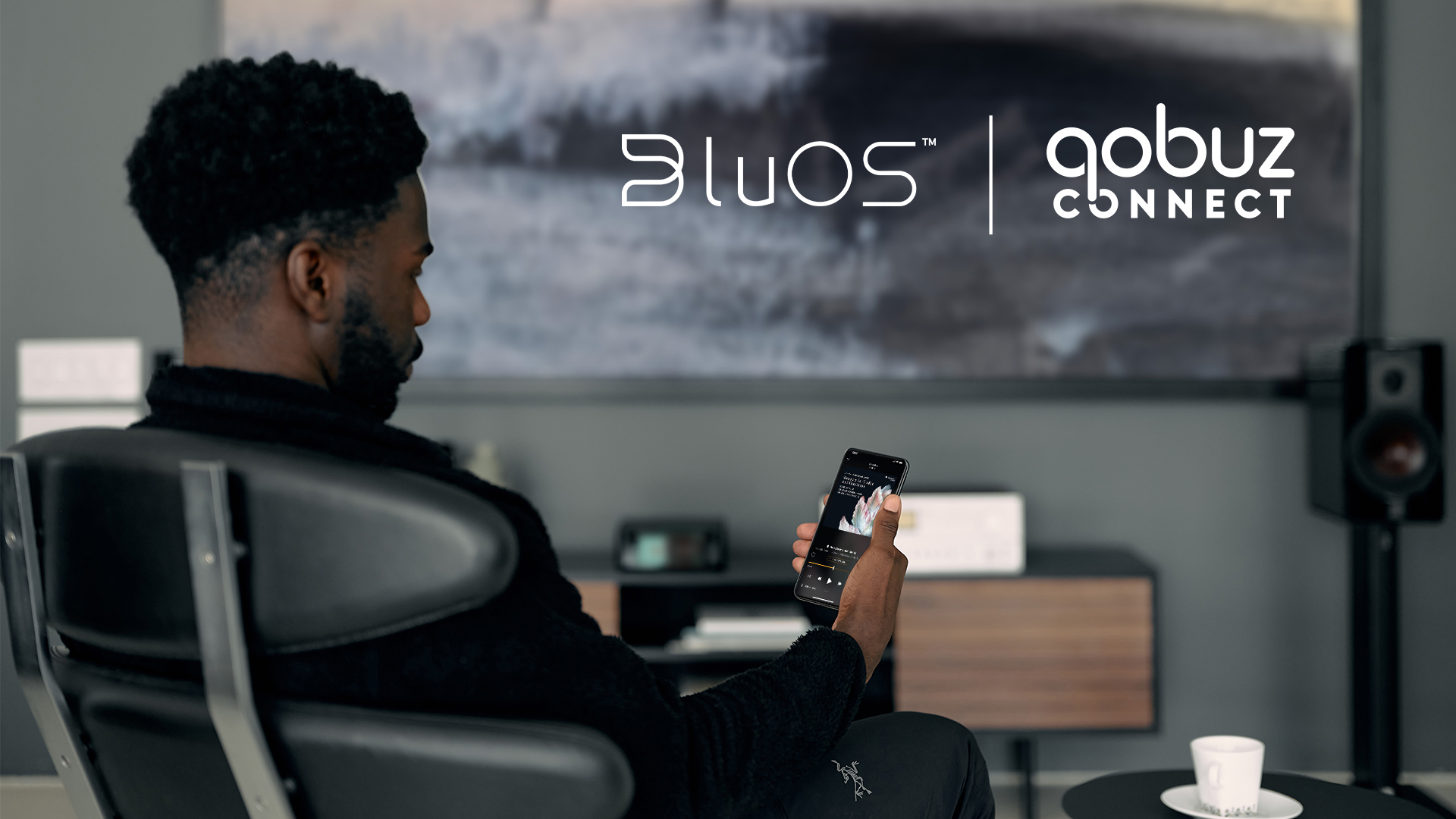 Bluesound、BluOSがQobuz Connect対応 - AV Watch