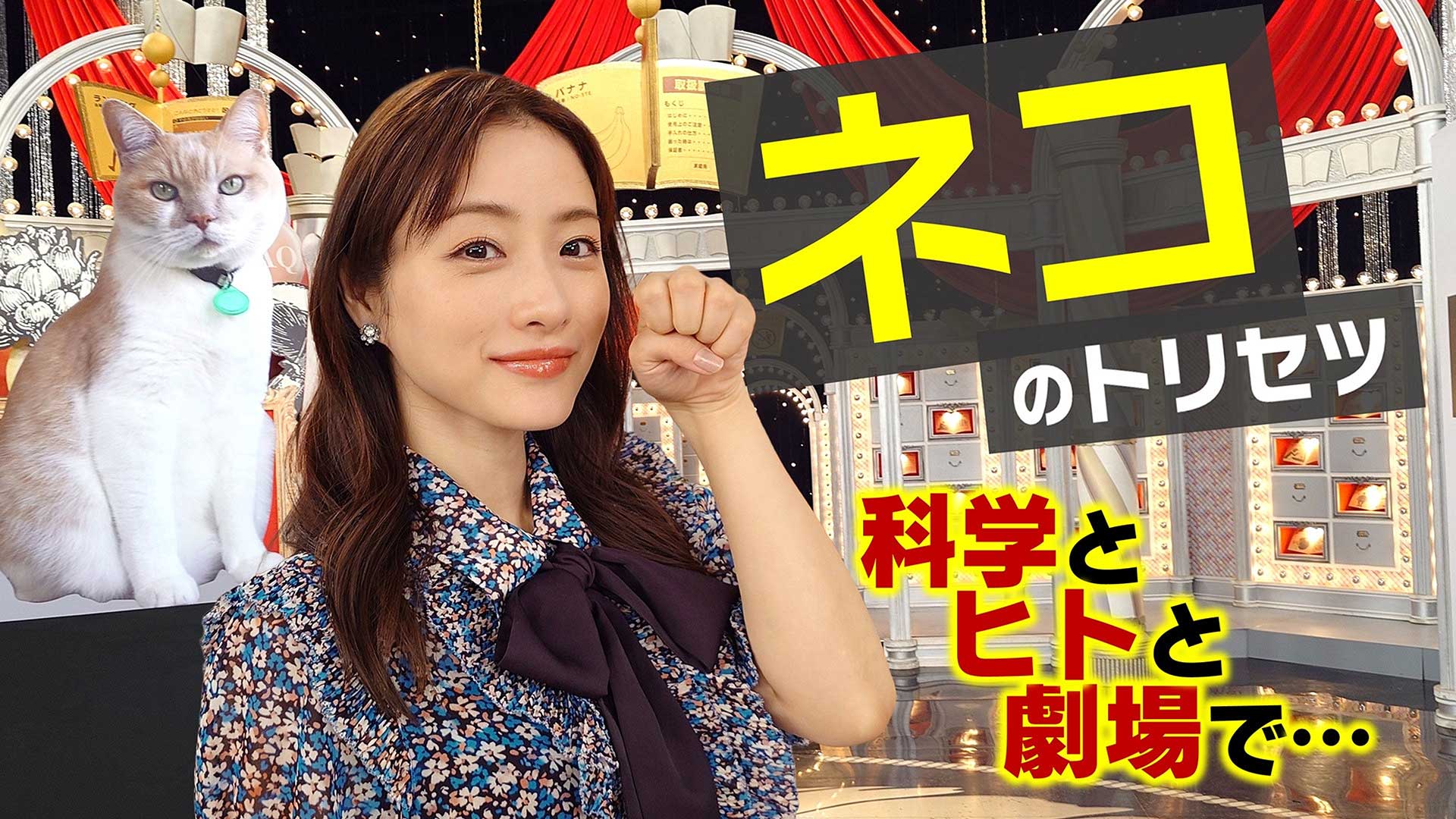 NHK、空前のネコブームに科学で迫る「ネコのトリセツ」、23日夜 - AV Watch